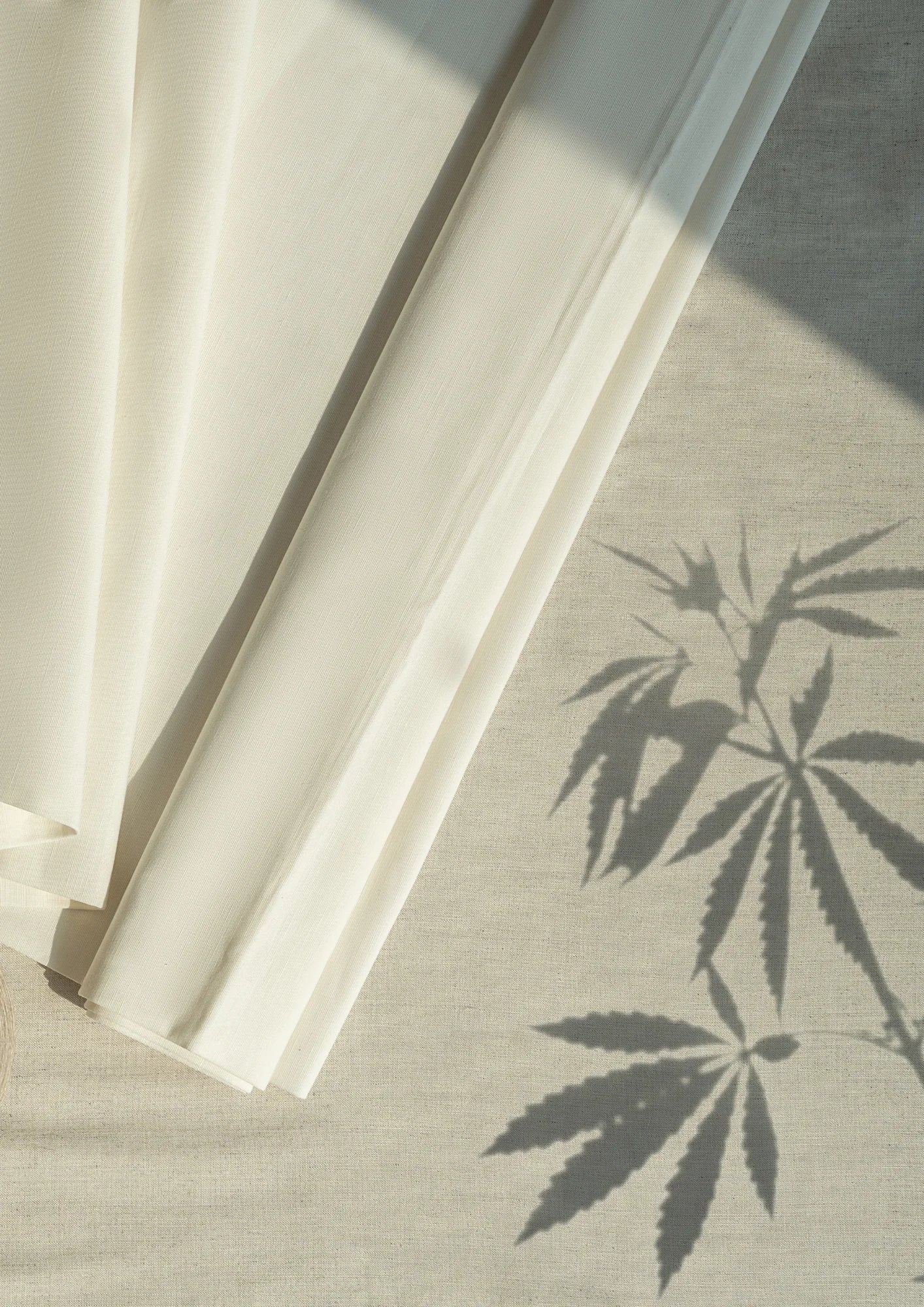 home_hemp_image.webp
