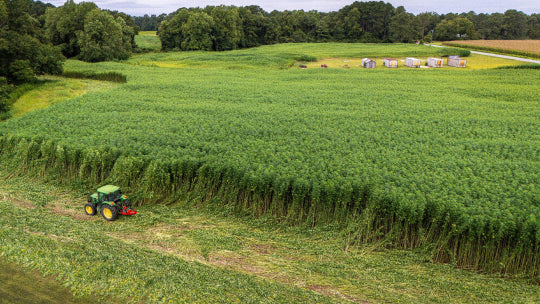 The Benefits of Hemp Clothing: A Sustainable and Eco-Friendly Fashion Choice