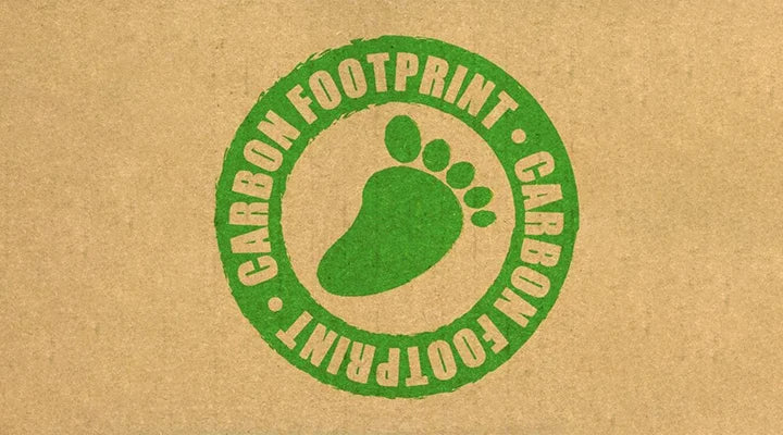 How To Reduce Your Carbon Footprint