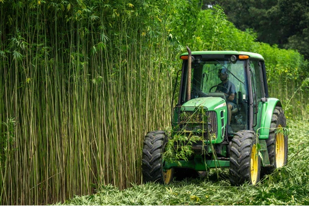 Pros and Cons of Hemp Fabric: Is It the Right Choice for Your Clothing?