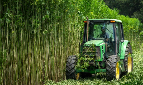 Pros and Cons of Hemp Fabric: Is It the Right Choice for Your Clothing?