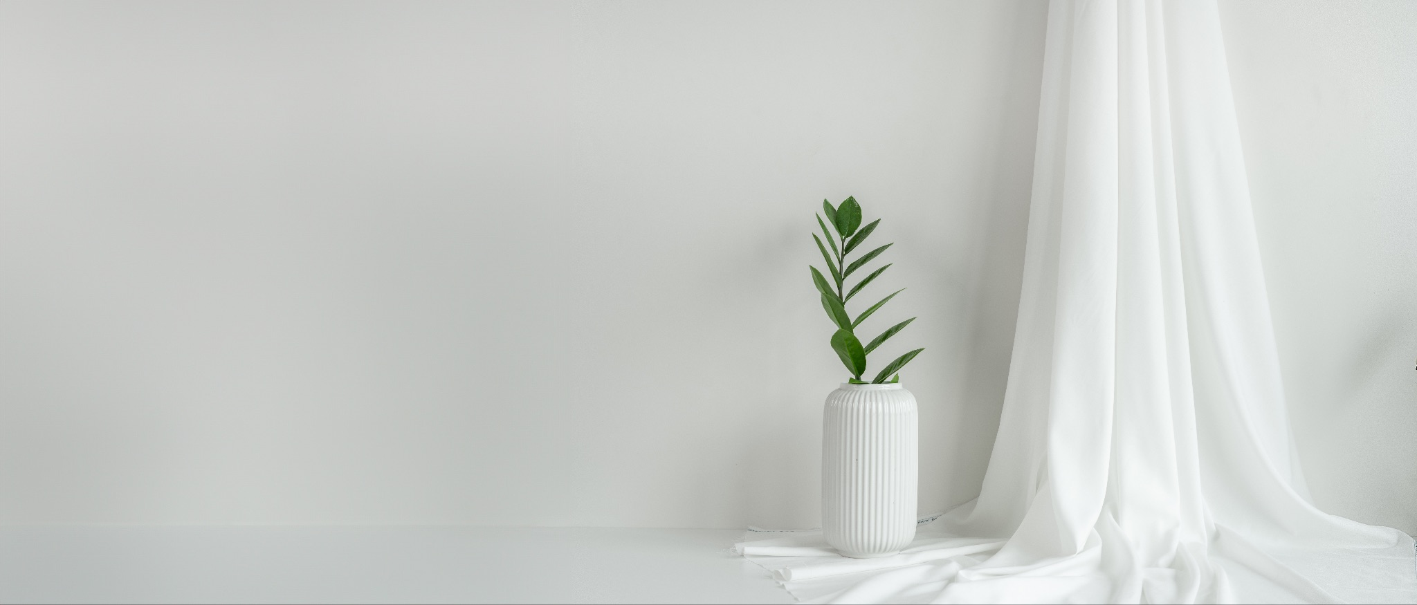 7 Benefits of Bamboo Fabric for Eco-Friendly Apparel