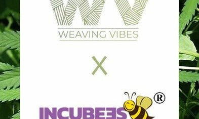 Weaving Vibes: Aiming to Create Plant-Based, Eco-Friendly and Sustainable Fabrics